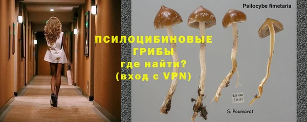 MDMA Premium VHQ Протвино