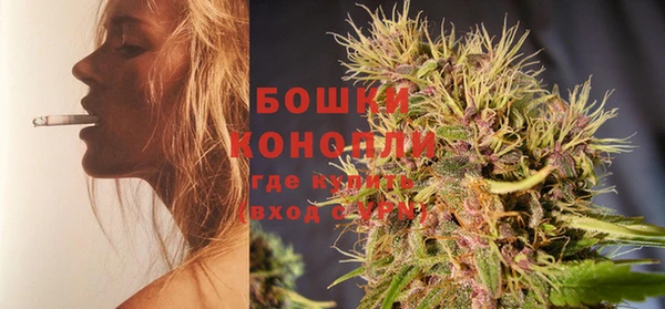 шишки Ростов