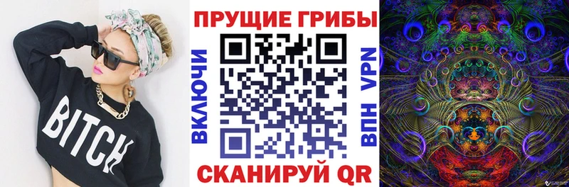 Псилоцибиновые грибы Magic Shrooms  Купить закладки  Заполярный 